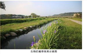 屈原管理区平江河流域农业面源污染防治工程