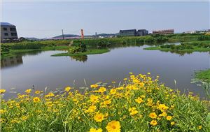 衡阳县蒸水流域山水林田湖草生态保护修复工程试点项目